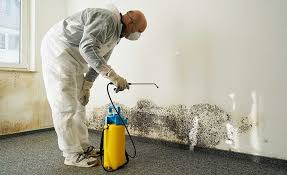 Best Forensic Mold Investigation  in Palos Verdes Estates, CA