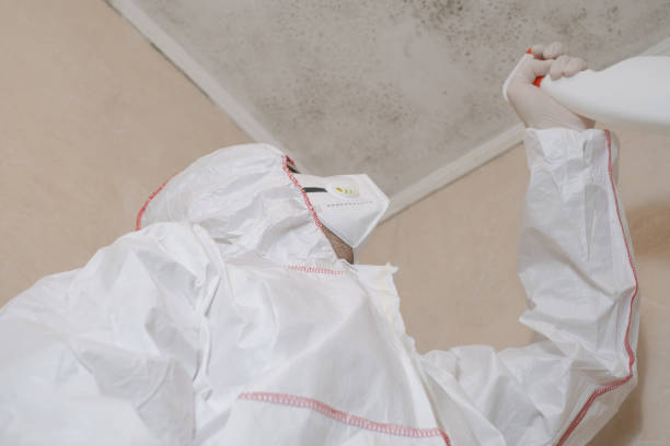 Best Mold Prevention Services  in Palos Verdes Estates, CA